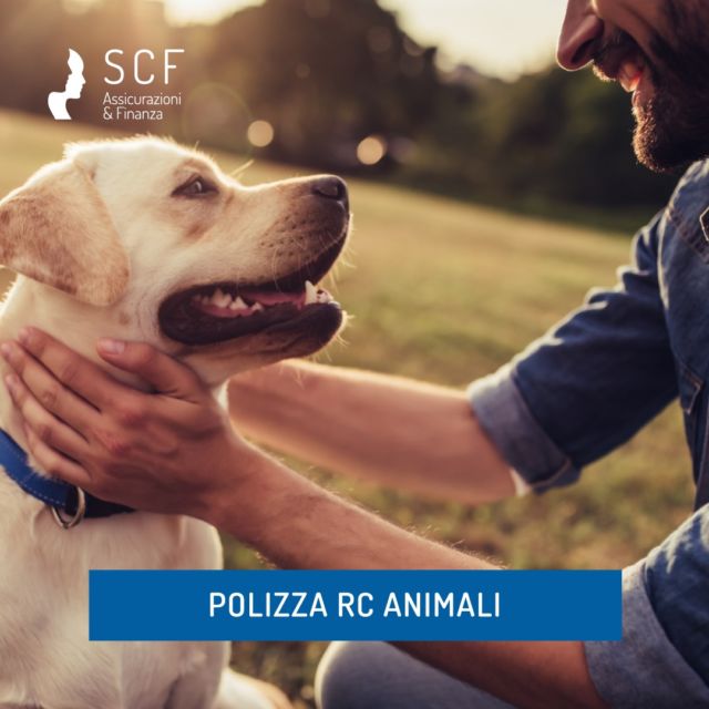 ll nostro amico a quattro zampe è davvero l’animale docile e buono che pensiamo?
 
Sicuramente sì, ma può accadere quello che è successo al proprietario di un cane in un maneggio nella provincia di Brindisi: sfuggito alla custodia del padrone, il cane ha azzannato un cavallo di razza causando danni per 15 mila euro.
Un caso eclatante indubbiamente ma che fa riflettere e ci consiglia un polizza RC per i nostri amici a quattro zampe.
 
📞 0432 532093
📨 info@scfassicurazioni.it
 
#assicurazioni #finanza #allianz #polizza #rca #polizzaassicurativa